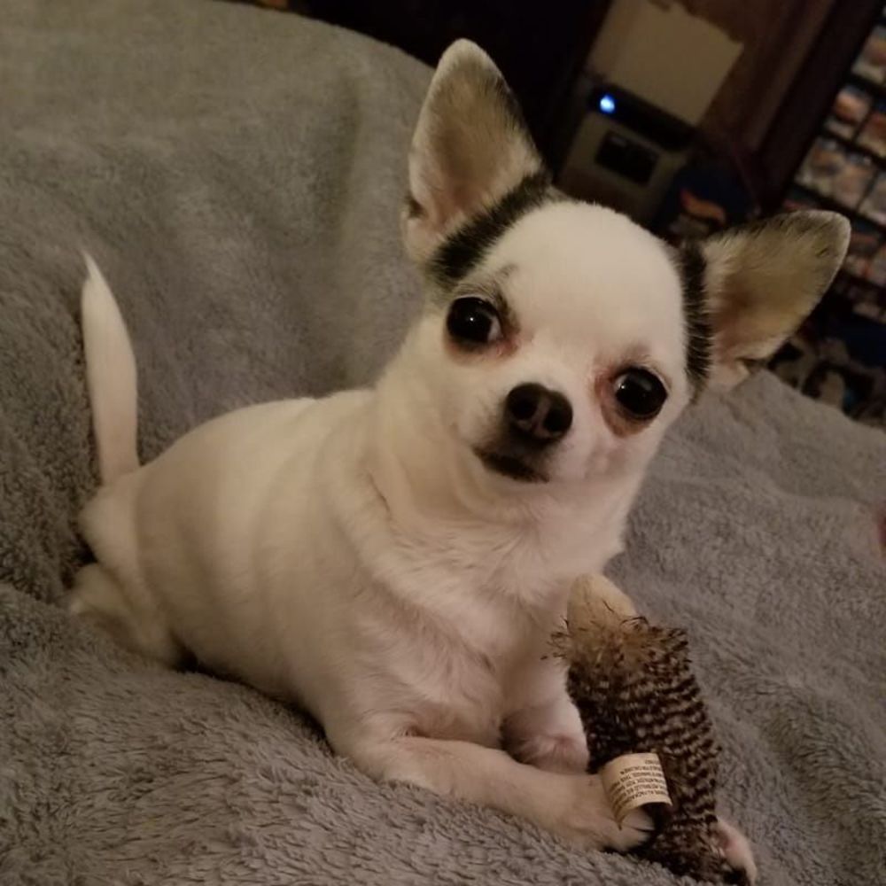 Meet your Posher, Tammy